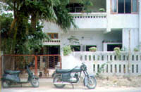 house n dogs